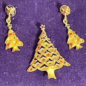 Elegant Holiday Brooch and Earrings